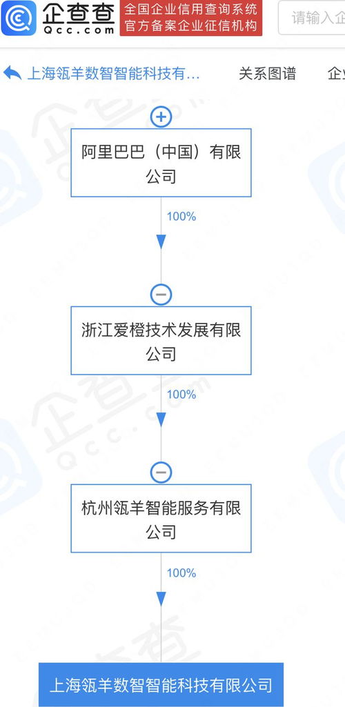 阿里巴巴旗下瓴羊數(shù)智科技公司落戶上海，加速數(shù)據(jù)處理與存儲服務(wù)布局